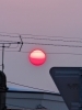 「今朝のおひさま」
