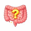 腸が変わると身体が変わる「腸を整えると、身体の中で何が起きているのか？」