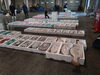 市場風景「今日の水揚げ」