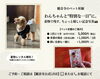 「わんちゃんと“特別な一日”に。着物で残す、ちょっと嬉しい記念写真🐶📸｜観音寺のペット祈願」