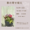 34Garden Flower school〜🌷春の寄せ植え🌷〜