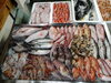 令和8年3月23日 店内「📣本日のお魚情報🐟」
