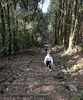 「お別れトレールランニング🏃」