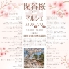 3/29 関谷桜ミニマルシェに出店します！桜の下でひだまりのおやつをどうぞ
