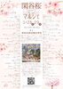 「3/29 関谷桜ミニマルシェに出店します！桜の下でひだまりのおやつをどうぞ」