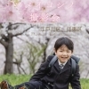江戸川区で桜の家族写真撮影会｜2026年ソメイヨシノ撮影会【江東区・葛飾区も対応◎】