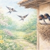 🐦 玄鳥至（つばめきたる）｜春の訪れを告げる小さな使者