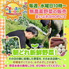 毎週水曜日10時〜｜朝どれ無農薬野菜の販売を行います