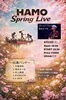 「HAMO Spring Live🌸」