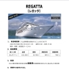 クルーズ船入港です🛳️