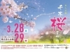 「🌸【舎人公園 千本桜まつり2026】に出店します🌸」