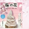 春限定🌸桜の花ソフトクリーム販売スタートしました★いよいよフラワーガーデンリニューアルオープン！　公園帰りにぜひお立ち寄りください。