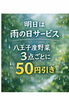 雨の日　今日だけ　14時まで　やってます！「雨の日サービス3/26 今日の、9時から14時まで限定。八王子産野菜3点購入ごとに50円引き！今回は花苗&多肉植物、乾物、玉子も原木しいたけも含めて3点購入50円引き！雨の日もご来店お待ちしています。802SKYSHOP 八日町　八王子」