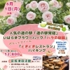 ✨🚍ファンたびツアーのご案内🚍✨ 🌹初夏のお出かけしませんか？🌹 《第2弾》人気の道の駅『道の駅常総』＆いばらきフラワーパーク「バラの庭園」とポケットパーク『どきどきレストラン』バイキングの日帰りバスツアー