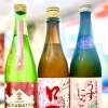 ～初桜花解～【福島区・日本酒セラー HARETOKE】