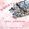 桜の知らせが届きました！【福島区吉野/塾】