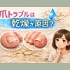 爪トラブルは乾燥が原因？