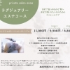 ラグジュアリーエステコース「エレクトロポレーションプレミアム」のご案内
