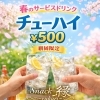 春限定！チューハイ500円のサービスドリンク実施中です