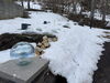 雪解けを彩る小樽硝子のオブジェ「春の生前予約で、残されるご家族の負担を軽くするという選択」