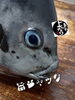 「メジナ入荷致しました！」