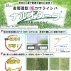 芝刈りの手間を減らせる日本芝「ナルオターフ」で春の庭づくり🌱