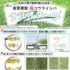 芝刈りの手間を減らせる日本芝「ナルオターフ」で春の庭づくり🌱