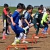 江戸川区・篠崎・小岩の幼児サッカーチーム｜新年度は4月の無料体験からスタートしませんか？