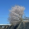 アーク不動産です　本日は南信州へ〜