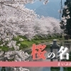 【2026年】新居浜・西条の桜の名所をまとめました！　ぜひご覧ください！