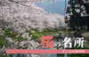 まいぷれ版【新居浜】桜の名所まとめ「【2026年】新居浜・西条の桜の名所をまとめました！　ぜひご覧ください！」