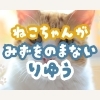 「うちの子、あまり水を飲まない…」は猫の宿命？猫に多い腎臓病につながるその理由