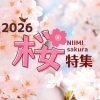 咲いた咲いた、桜が咲いた🌸✨【まちワク新見！2026年3月27日】