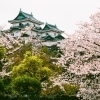 【「日本城」誕生秘話】すべては和歌山城から始まった