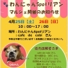 7周年イベントのご案内