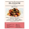 ホリスティカルハーブテントの新テントハーブ発売開始「ブロッサム～大開花～」