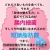 酪酸菌って聞くけど何をする菌？？
