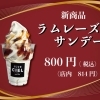 【シエル】新商品ラムレーズンサンデー発売です。