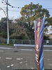 「桜(北九州市八幡西区若葉にある少人数での送り出しをしている直葬、家族葬専門葬儀社です。戸畑区にて直葬専門会館もございます。また、小倉北区にも会館がございます)」