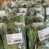 菜の花入荷してます【鉾田市直売所】