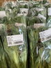 菜の花「菜の花入荷してます【鉾田市直売所】」