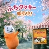 🌸今日明日はフチクッキー販売Days🌸