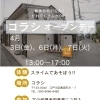 🌈春休み限定！コラシ オープンデー開催のお知らせ🌈