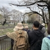 杉並郷土史会さんと桜ウォーキングに参加してきました