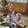 春の桜を添えたお造り盛り合わせのご紹介