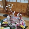 春の桜を添えたお造り盛り合わせのご紹介