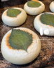 「しそきんぴらチキンのおやき🌿 新作です！ ／ パン工房かおりほのか(岡山市南区)」