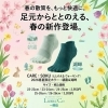 足元からととのえる 春の新作登場‼️