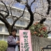 町会のお花見