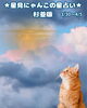 「🌟 杉並区版☆12星座占い 🌟まいぷれ☆星見にゃんこ🌟3/30〜4/5」